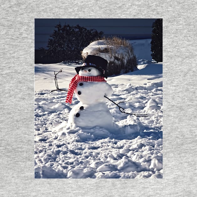 Snowman With Hat and Scarf by SusanSavad